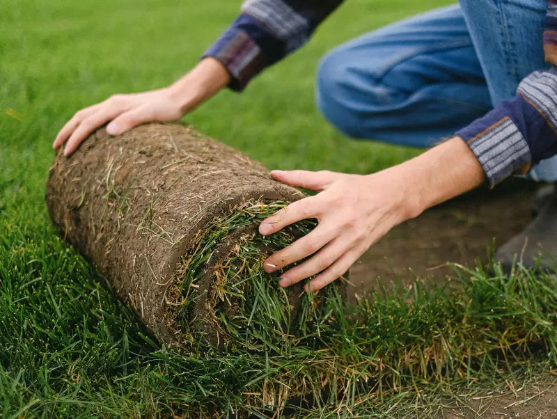 Commercial sod installation company