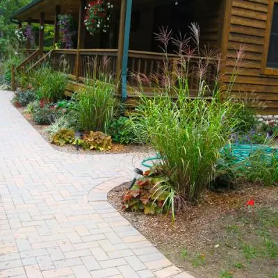 Landscape Planting Installation